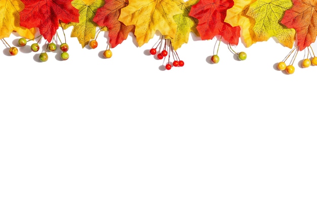 Herbstrahmenzusammensetzung, lokalisiert auf weißem hintergrund. bunte ahornblätter und beeren, flach gelegt