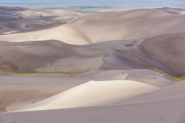 Herbstsaison im Great Sand Dunes National Park, Colorado, USA