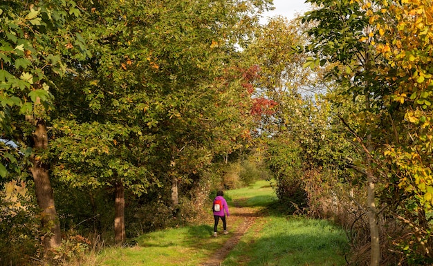 Herbstsaison in der französischen Landschaft