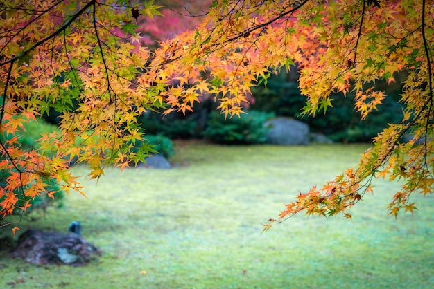 Herbstsaison in Japan