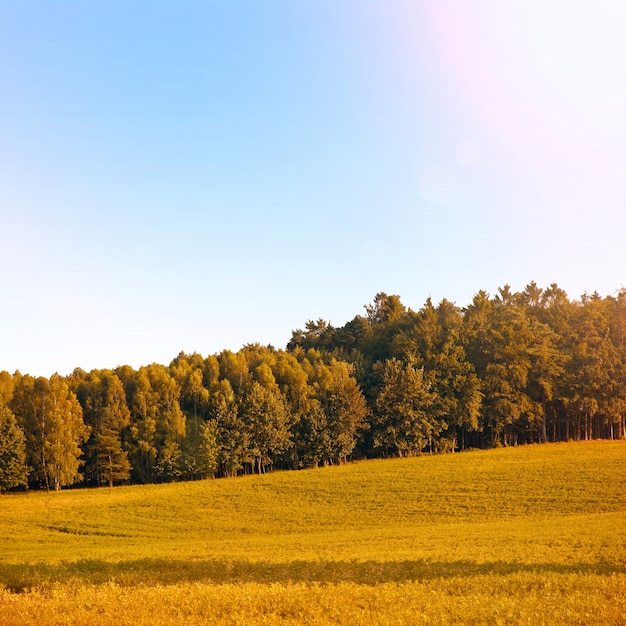 Herbstsaison.