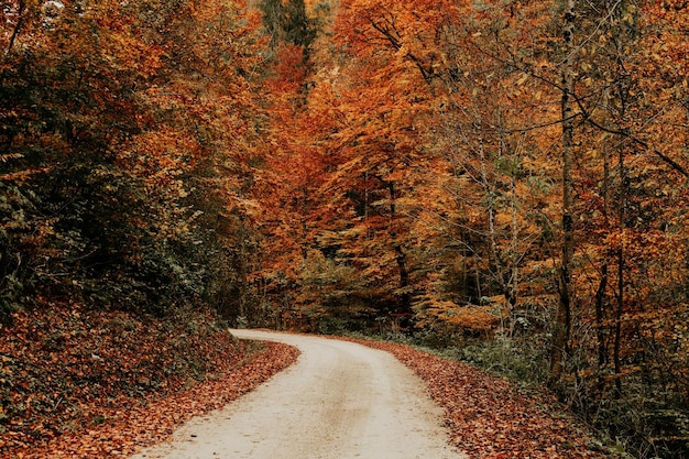 Herbstsaison