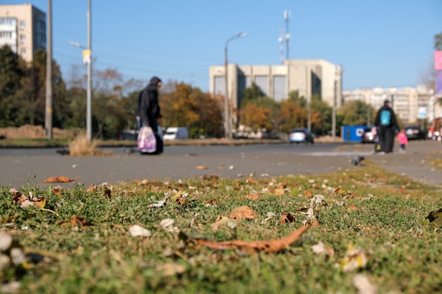 Foto herbstskizzenhintergrund mit vergilbung und fallenden blättern im park vor wohngebäuden