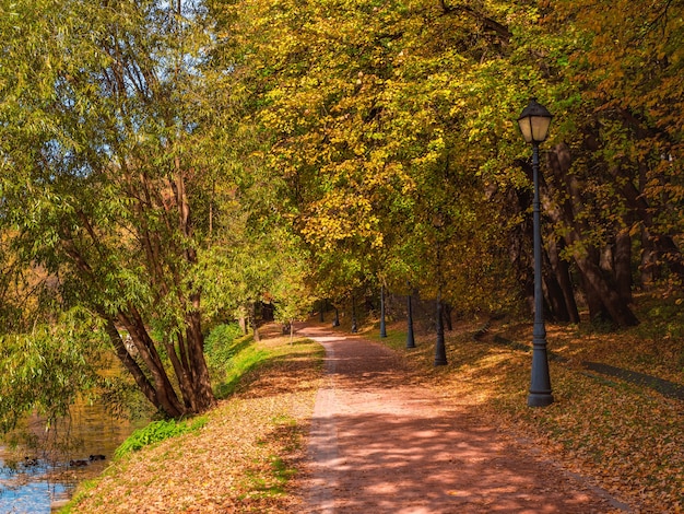 Herbstsonnige Gasse mit gefallenen roten Blättern in einem leeren schönen Moskauer Park Tsaritsyno. Russland.