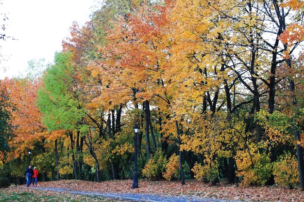 Herbstspaßfarben des Herbstes beruhigen ruhigen Herbstabend