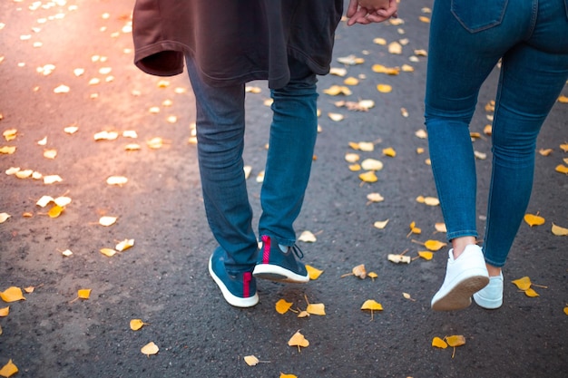 Herbstspaziergang Ein Paar, ein Mann und eine Frau, die sich an den Händen halten, gehen mit abgefallenen gelben Blättern durch den Park