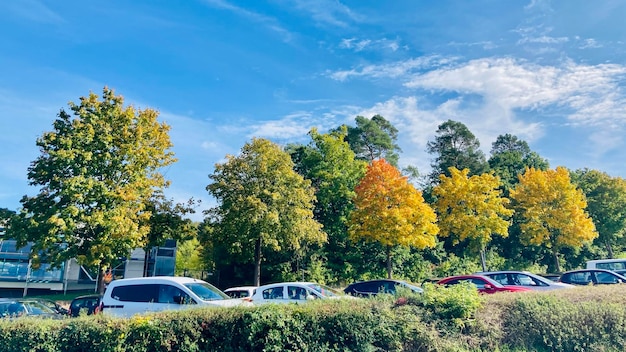 Herbststadtstraße mit bunten Bäumen und geparkten Autos