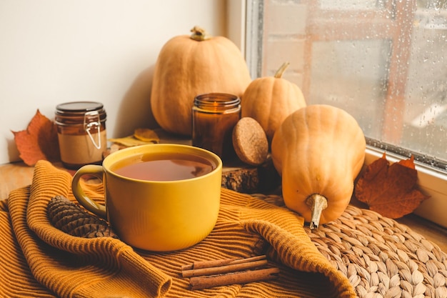 Herbststillleben auf der Fensterbank Tasse Tee Kürbisse und Kerze