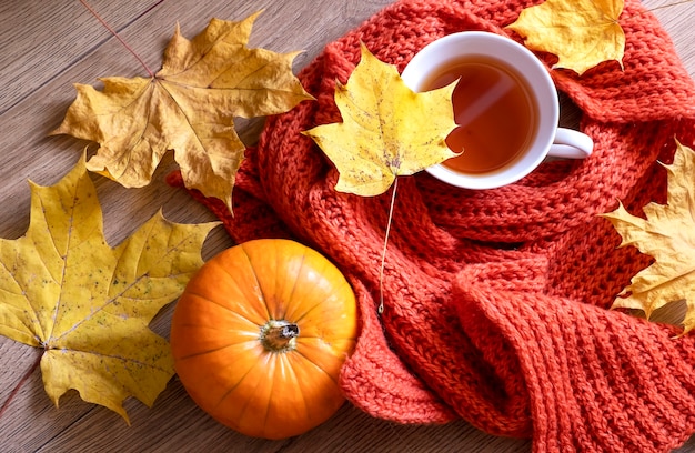 Herbststillleben mit duftendem Zimttee, Schal, Kürbissen und gelben Ahornblättern. Herbstkonzept. Selektiver Fokus. Geringe Schärfentiefe. Ansicht von oben