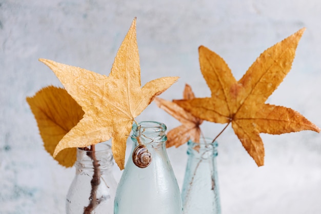 Herbststillleben mit Glasflaschen und Blättern