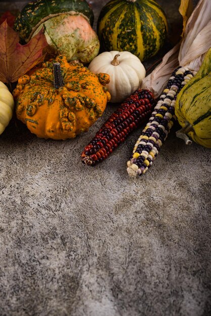 Herbststillleben mit Kürbis