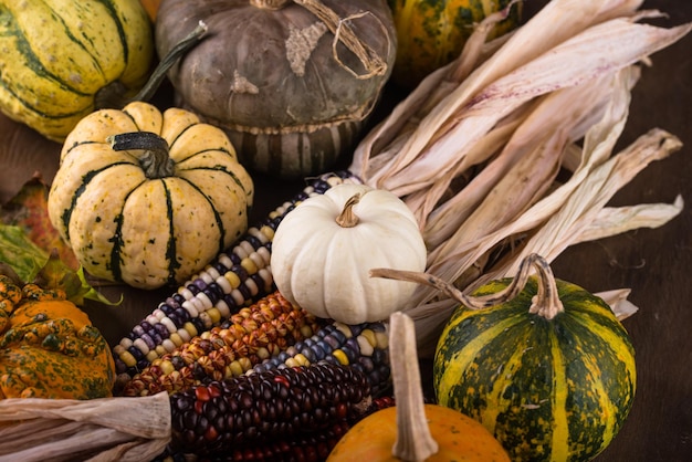 Herbststillleben mit Kürbis