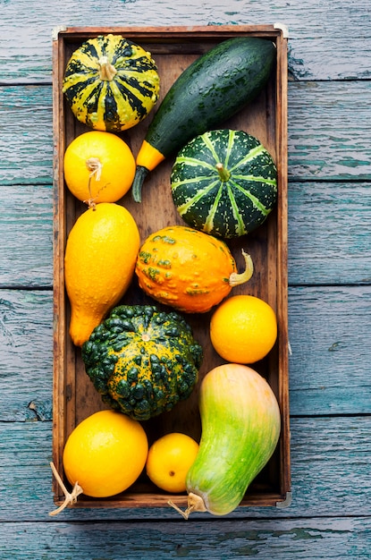 Herbststillleben mit Kürbisen