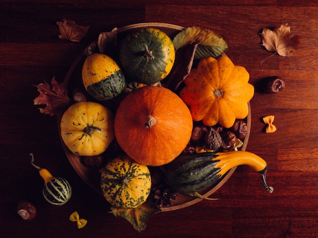 Herbststillleben mit Kürbissen