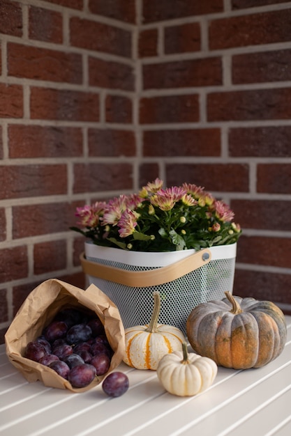 Herbststillleben mit saisonalem Obst, Gemüse, Blumen und bunten Kürbissen und reifen Pflaumen. Selektiver Fokus.