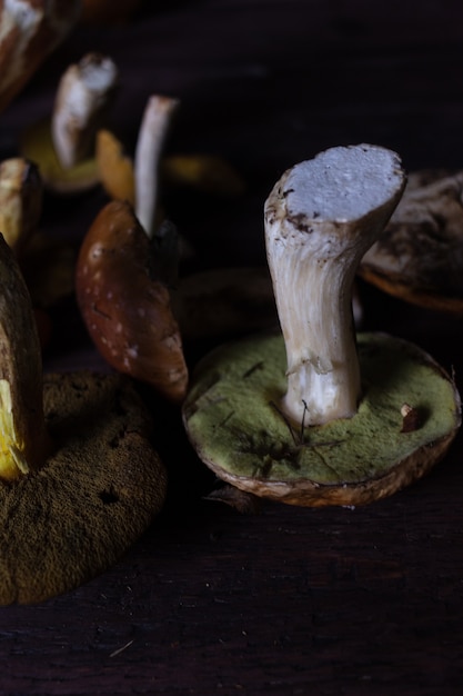 Herbststillleben mit Waldpilzen