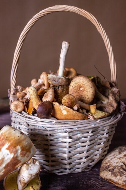 Herbststillleben mit Waldpilzen