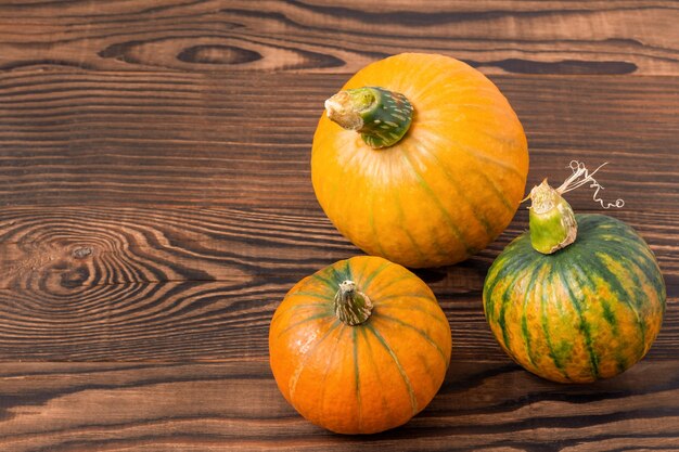 Herbststillleben zum Erntedankfest mit Kürbissen