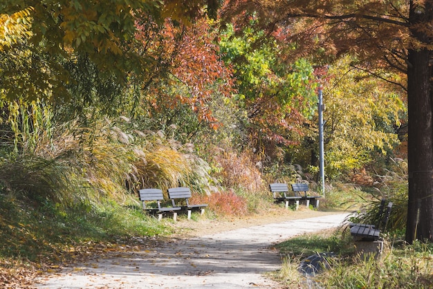 Herbststimmung in einem öffentlichen Park