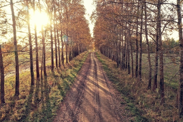 Herbststraße Draufsicht, Landschaft im Herbst mit Drohne