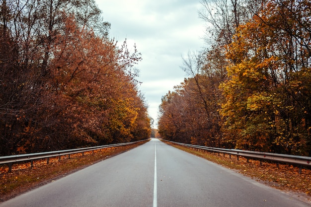 Herbststraße umgeben mit Bäumen.