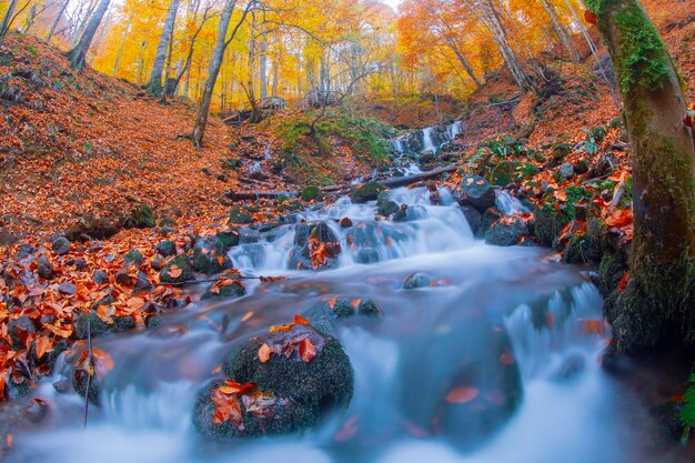 Herbstszene Sieben Seen Bolu Türkei