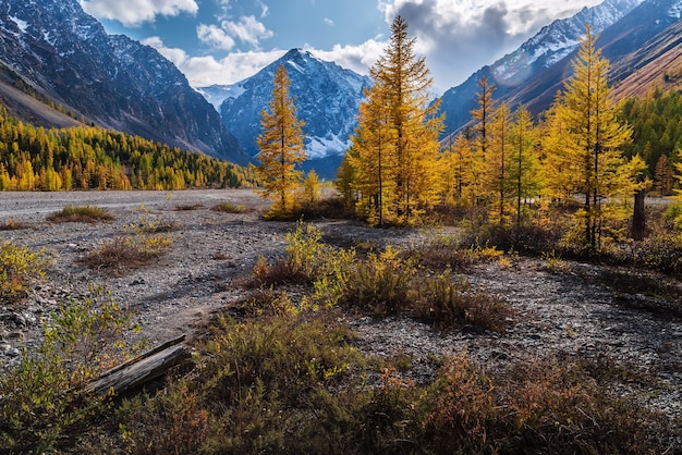 Herbsttal des Aktru-Flusses am Fuße der Gletscher des nördlichen Tschujski-Gebirges Russland