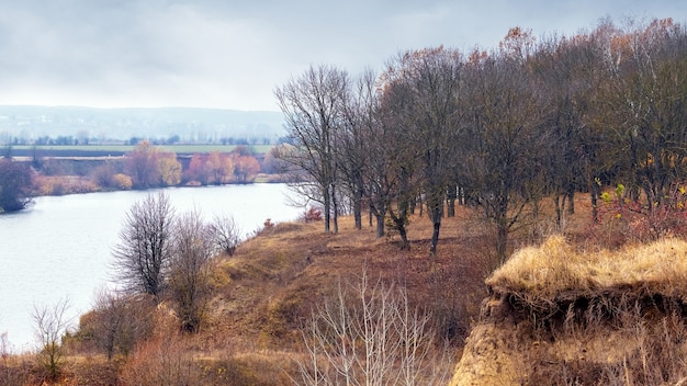 Herbstwald am Uferfluss bei bewölktem Wetter