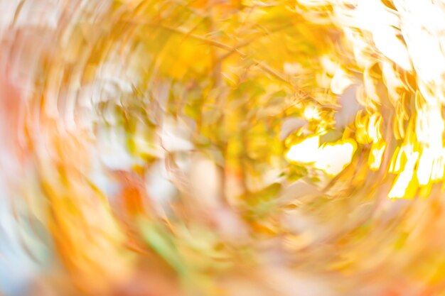 Herbstwald bokeh mehrfarbige Textur Verschwommener Bokeh-Hintergrund