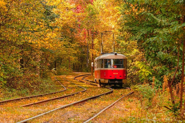 Herbstwald, durch den eine alte Straßenbahn fährt Ukraine