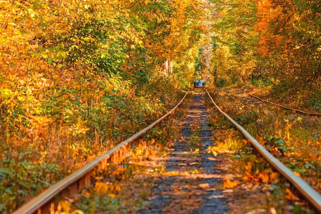 Herbstwald, durch den eine alte Straßenbahn fährt Ukraine