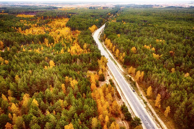 Herbstwald von oben