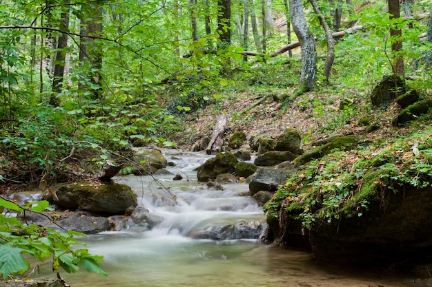 Herbstwald Wasserfall