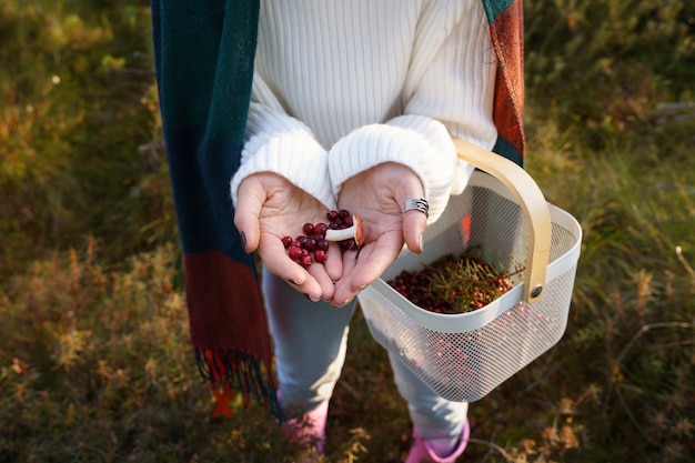 Herbstwald weibliche Hand, die Pilz und Korb mit Preiselbeeren hält, nachdem sie saisonale Beeren gepflückt hat