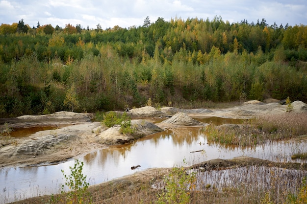 Herbstwaldbach mit Küstensteinen