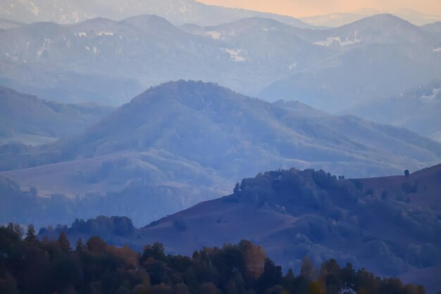 Herbstwaldhintergrund, Baum in der Naturlandschaft