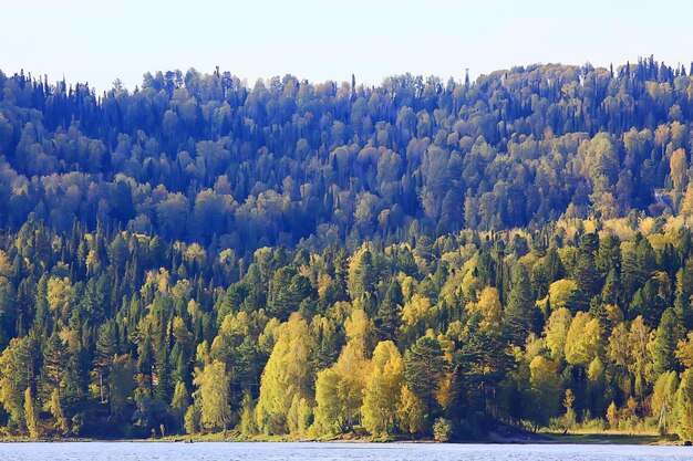 Herbstwaldlandschaft, abstrakter Hintergrund Oktoberansicht in gelben Bäumen, Herbstnatur