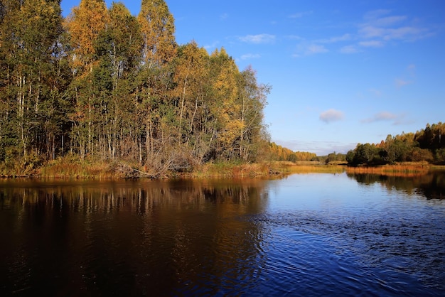 Herbstwaldseehimmel