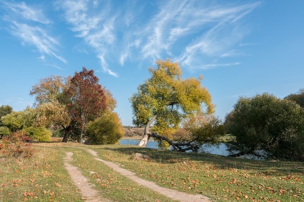 Herbstwaldszene im ukrainischen See