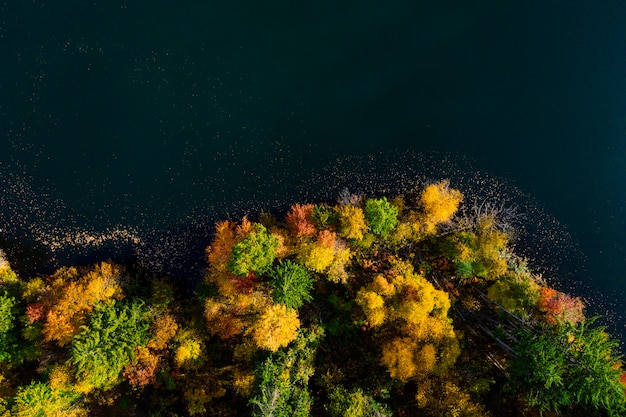 Herbstwaldvogelperspektive mit See