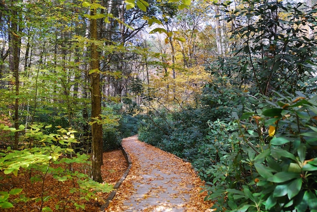 Herbstwanderweg