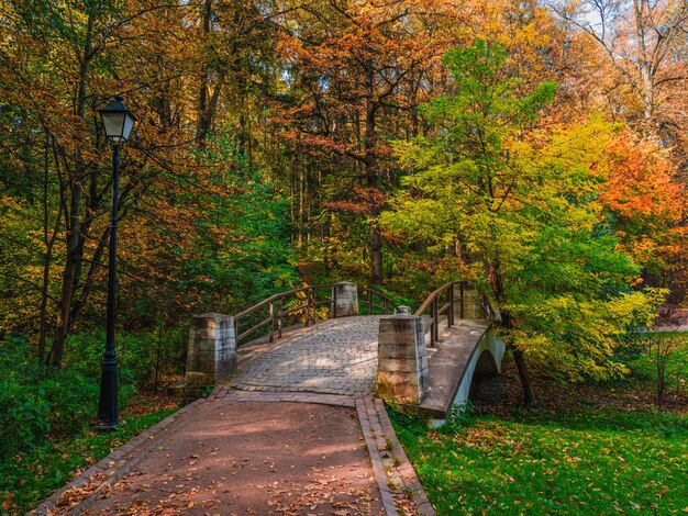 Herbstweg im sonnigen Park. Gefallene rote Blätter auf einer alten Steinbrücke im Park. Tsaritsyno. Moskau.