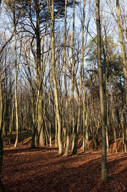 Herbstwetter im Park