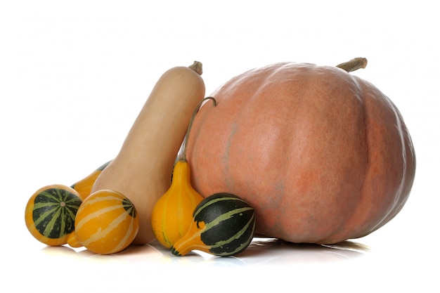 Herbstzusammensetzung des gelben und grünen Kürbises auf weißem lokalisiertem Hintergrund