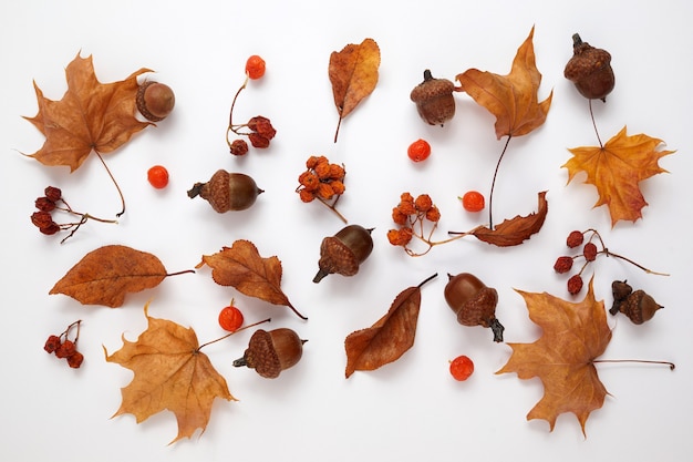 Herbstzusammensetzung. Getrocknete Blätter auf weißem Hintergrund. Ansicht von oben. Flach liegen.