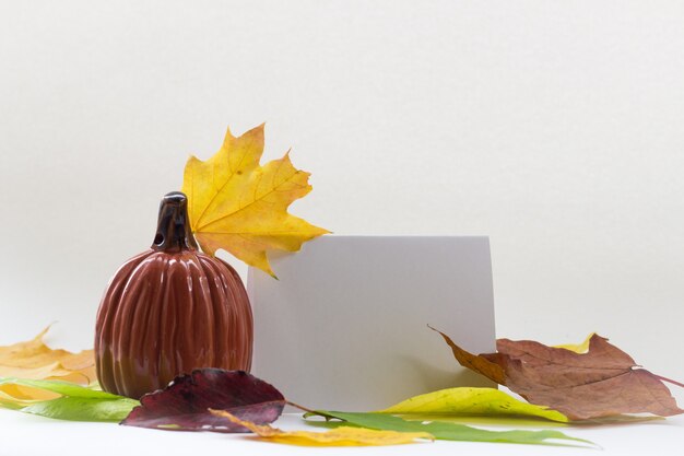 Herbstzusammensetzung Kürbis und Herbstlaub auf Weiß