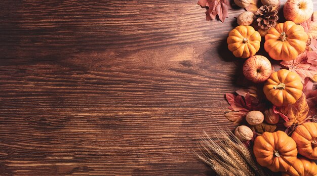 Herbstzusammensetzung Kürbisbaumwollblumen und Herbstblätter auf dunklem Holzhintergrund