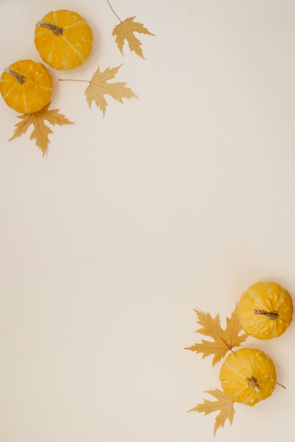 Herbstzusammensetzung. Kürbisse, getrocknete Blätter auf pastellgrauem Hintergrund. Halloween-Konzept. Flache Lage, Ansicht von oben, Kopienraum