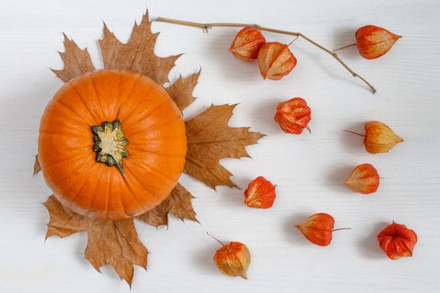 Herbstzusammensetzung Kürbistrockene Blätter Äpfel und Physalis auf einem weißen hölzernen Hintergrund