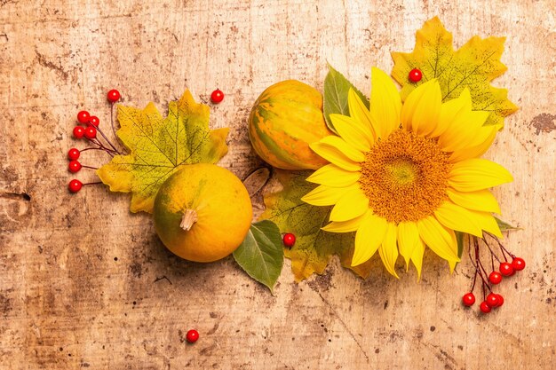 Herbstzusammensetzung. Sonnenblumen, rote Beeren und Kürbisse. Festlicher Hintergrund für gute Laune, flache Lage, Ansicht von oben